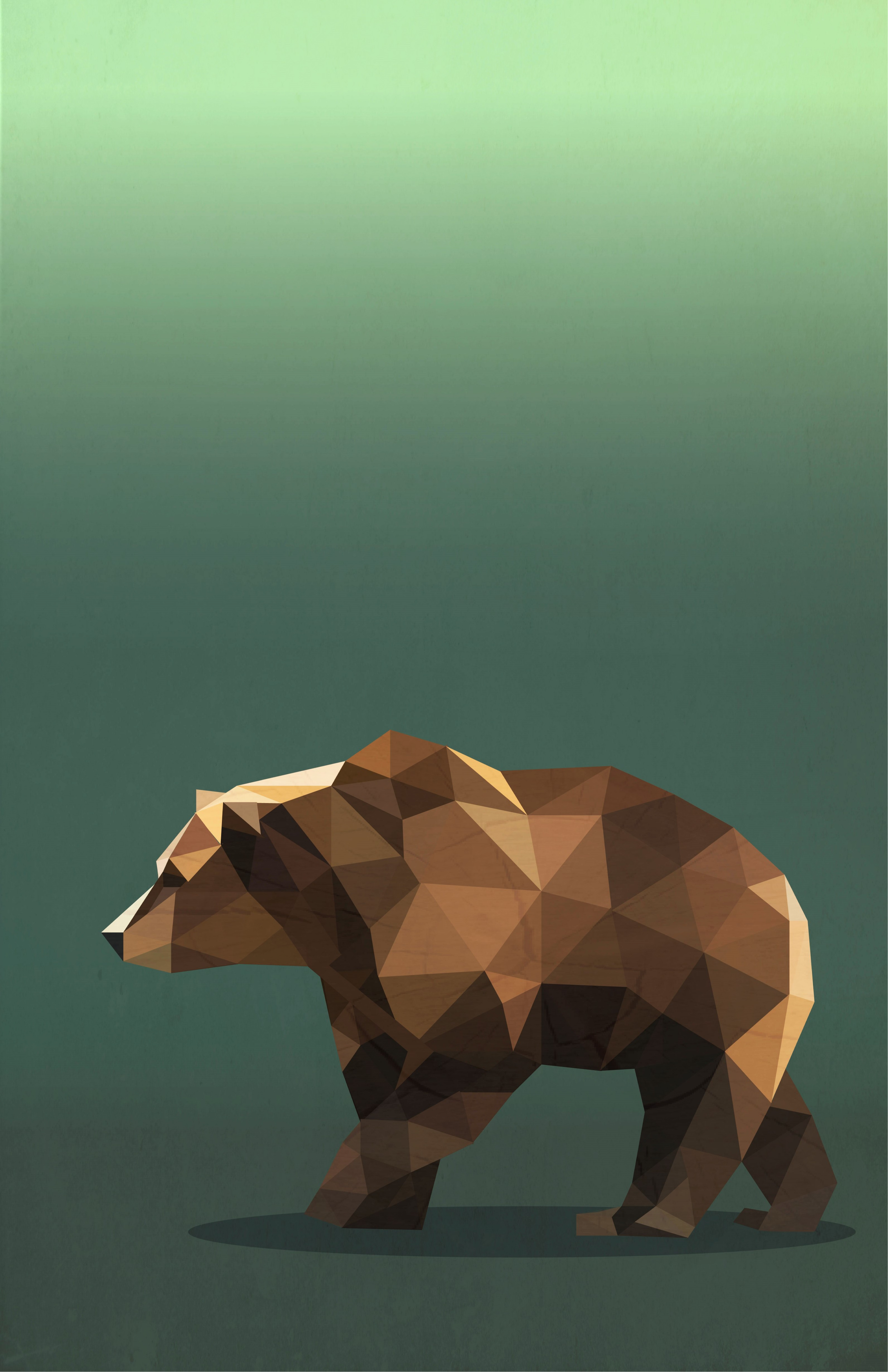 bear with a green background